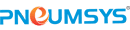 Pneumsys